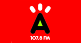 Radio Cima
