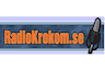 Radio Krokom 101 FM