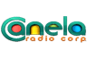 Radio Canela 106.5 FM