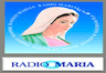 Radio Maria 101.3 FM Cuenca