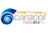 Máxima Caracol Radio 91.3 FM