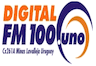 Digital FM 100.1 Minas