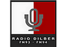 Radio Dilber Charsadda 93 FM