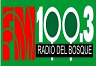 Radio Bosque 100.3 FM