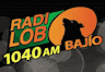 Radio Lobo 1040 AM Irapuato