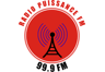 Puissance FM Haiti 99.9 FM