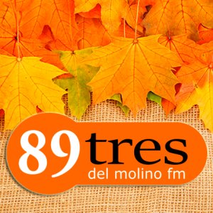Del Molino FM - 89.3 FM