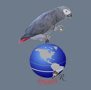 Parrot FM - 101.1 FM