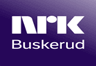 NRK P1 Buskerud 91.3 FM