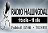 Radio Hallingdal 106.7 FM