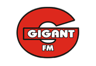 Gigant FM 104.7 FM