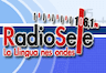Radio Sele 106.1 FM Oviedo