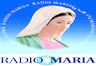 Радио Мария 1053 AM Санкт Петербург