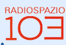 Radio Spazio 103 91.0 FM Udine