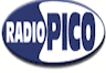 Radio Pico 101.5 FM Mirandola
