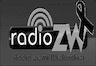 Radio Ziemi Wielunskiej 88.6 FM Wieluń
