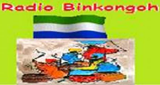 RADIO BINKONGOH