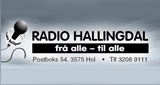 Radio Hallingdal