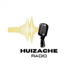 Huizache Pop 