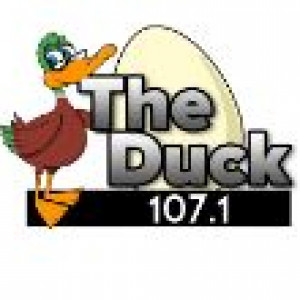  107.1 The Duck