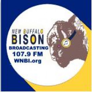 Bison Radio